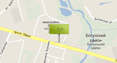  ул. Проспект Мира 22