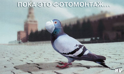 Пример социальной рекламы